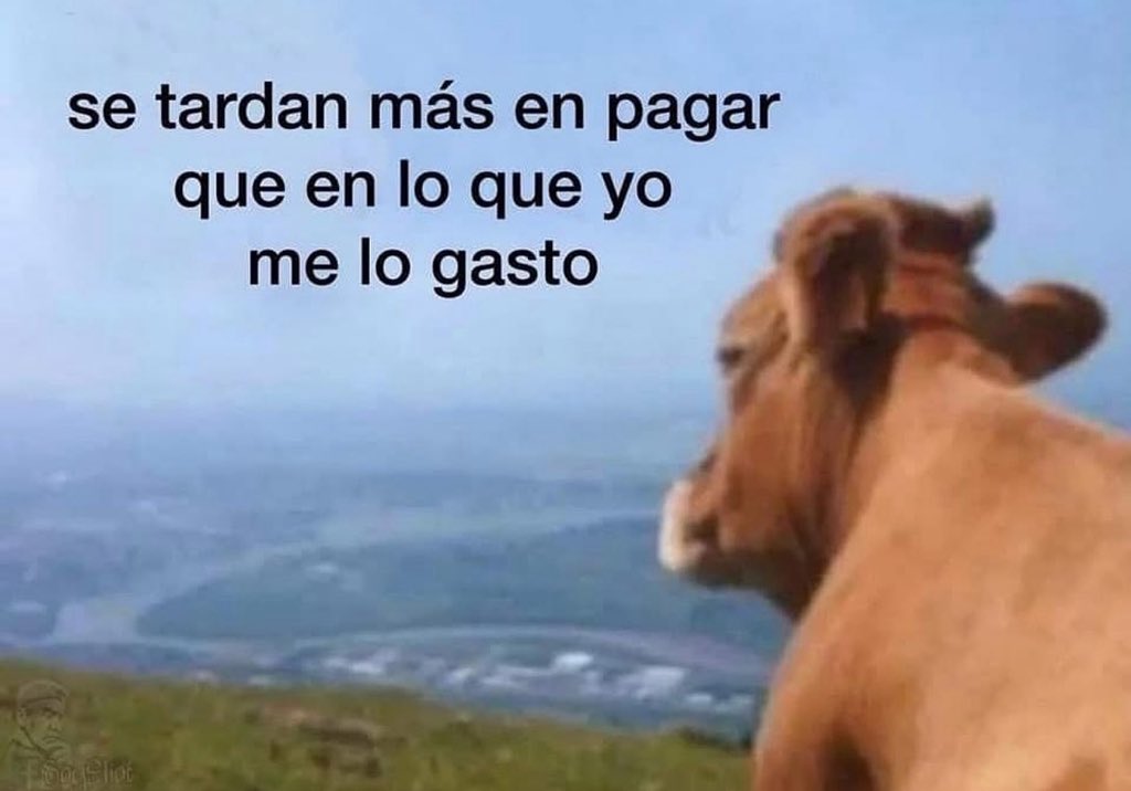 emociones amarillas (@conoloracigarro) on Twitter photo 