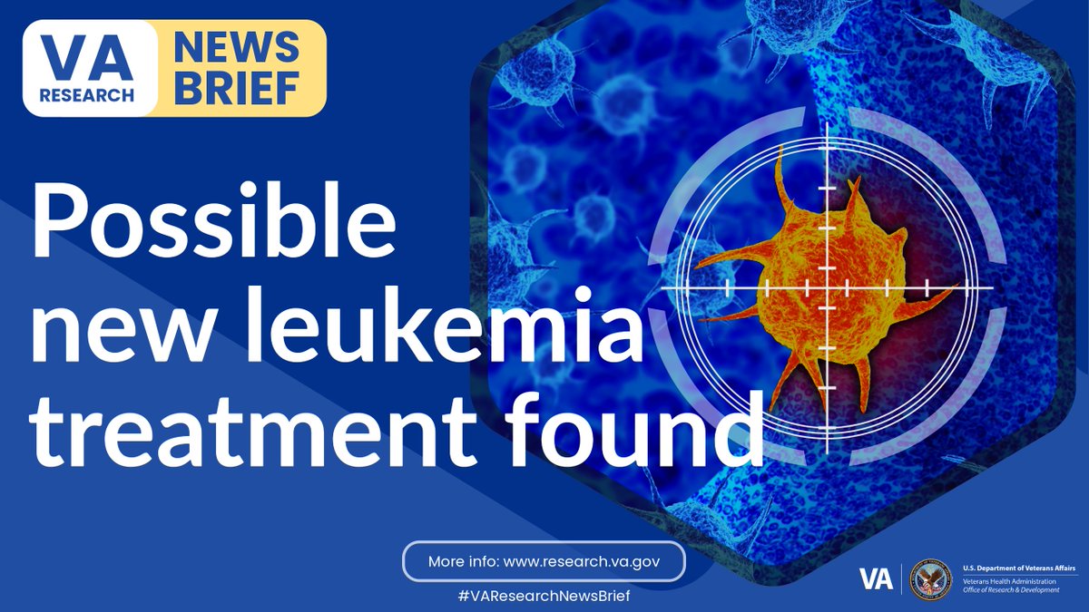 VA Research (@varesearch) on Twitter photo #VAResearchNewsBrief: VA researchers from the @AECHCS and the <a href="/CUSystem/">University of Colorado</a> proved blocking a protein called STAT3 can lead to the death of acute myeloid leukemia cells, a rare but aggressive blood and bone marrow cancer.
#VAResearch #LeukemiaResearch
research.va.gov/news_briefs/ne… #VAResearchNewsBrief: VA researchers from the @AECHCS and the <a href="/CUSystem/">University of Colorado</a> proved blocking a protein called STAT3 can lead to the death of acute myeloid leukemia cells, a rare but aggressive blood and bone marrow cancer.
#VAResearch #LeukemiaResearch
research.va.gov/news_briefs/ne…