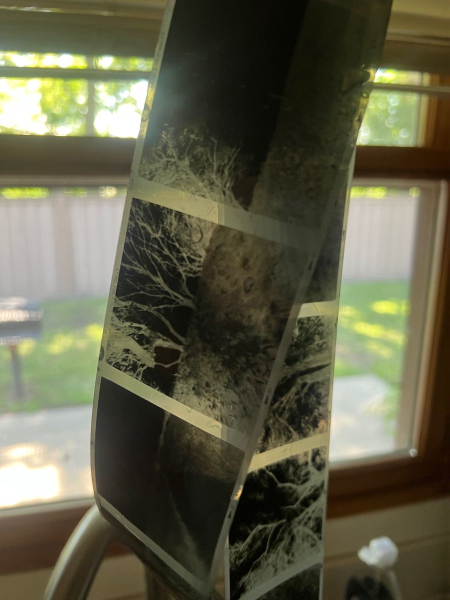 Come to Homestead NHP's Education Center this Saturday, July 26, at 2 pm for a free program listening to the sounds of nature with Homestead's Artist in Residence Matt Whitman. Learn about Whitman’s art, pinhole photography, and experiences.

Photo: © Matt Whitman