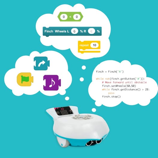 birdbraintech's tweet image. From kindergarten to college, the Finch 2.0 Robot meets students where they are! With scaffolded support for icon, block, and text-based programming, it empowers learners of all ages to grow and thrive. Deep, joyful learning for every grade! Learn more .. birdbraintechnologies.com/products/finch…