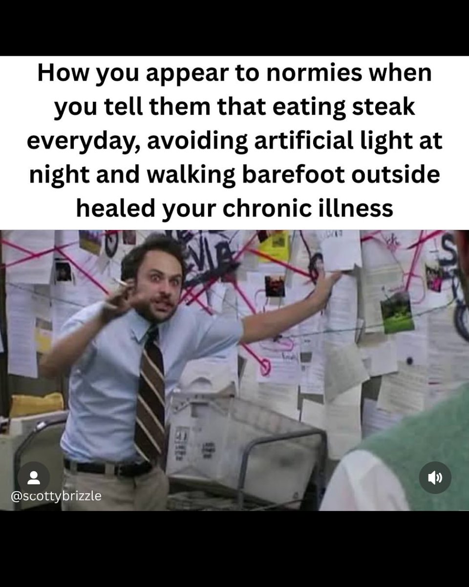 thecarnivorebar's tweet image. repost @meathealth
How we appear to normies 😆 😆
#exvegan #meatheals #sunlight #eatmeat #notavegan