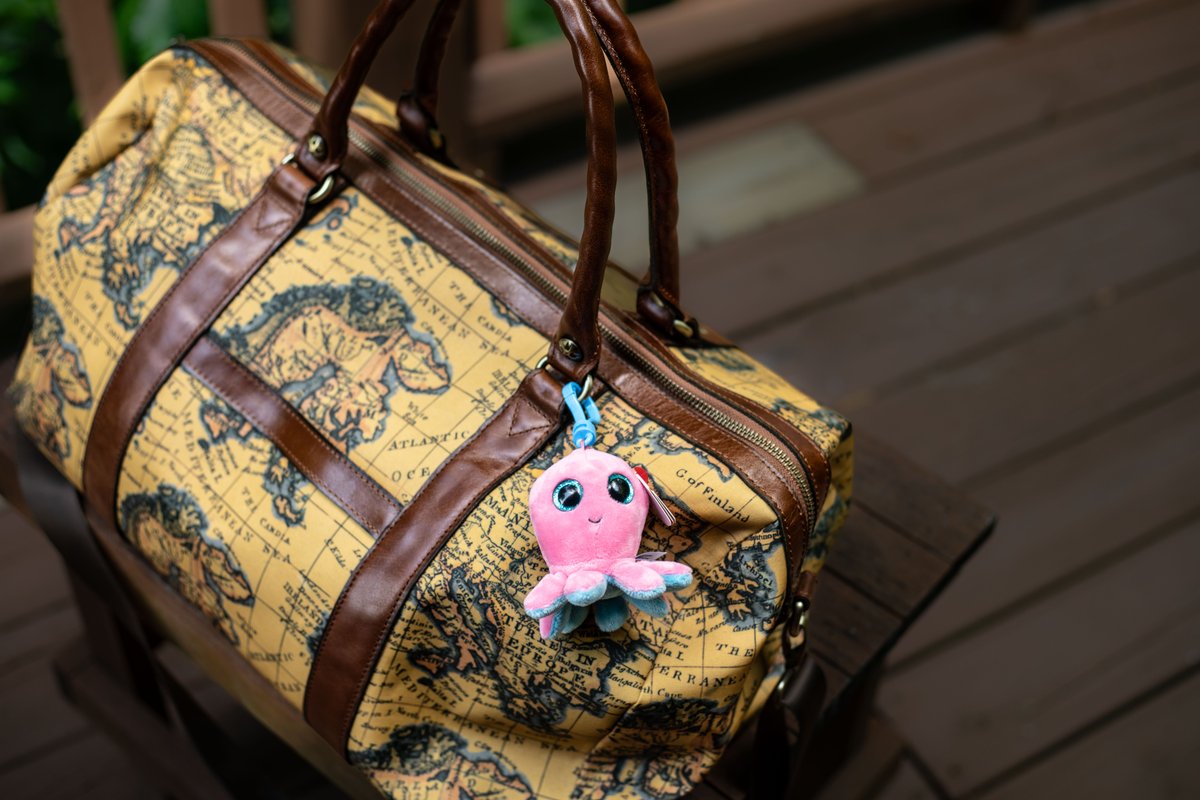TyInc's tweet image. On the go? 🚙 Check out our latest blog - Travel Buddy Stuffed Animals: Why Small Beanies are Great for On-the-Go Fun ow.ly/VSWZ50WvsXv