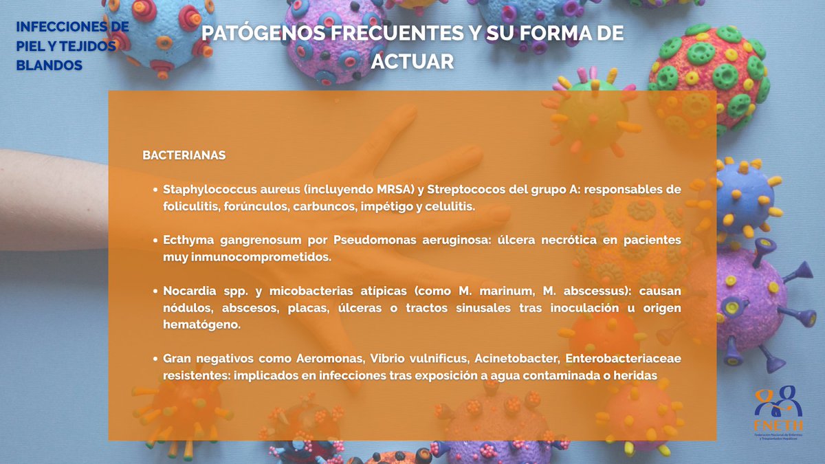 fneth_org's tweet image. 🦠 Las infecciones en verano pueden ser muy peligrosas, sobre todo para personas enfermas o trasplantadas hepáticas
👉 A lo largo del verano os traeremos distintos posts para tener un mayor conocimiento sobre estas infecciones
❗Conozcamos las de piel y tejidos blandos