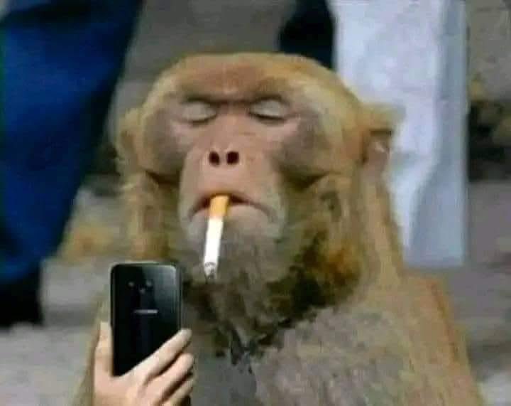 Landlord saa anataka nimtolee pesa wapi