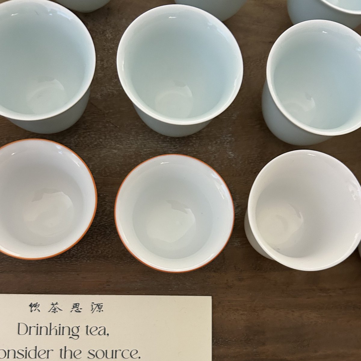 mikaela lipsky tweet media