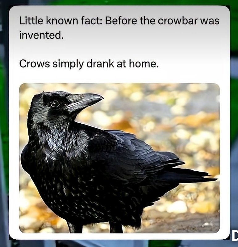 _AmusingMyself's tweet image. 🥃