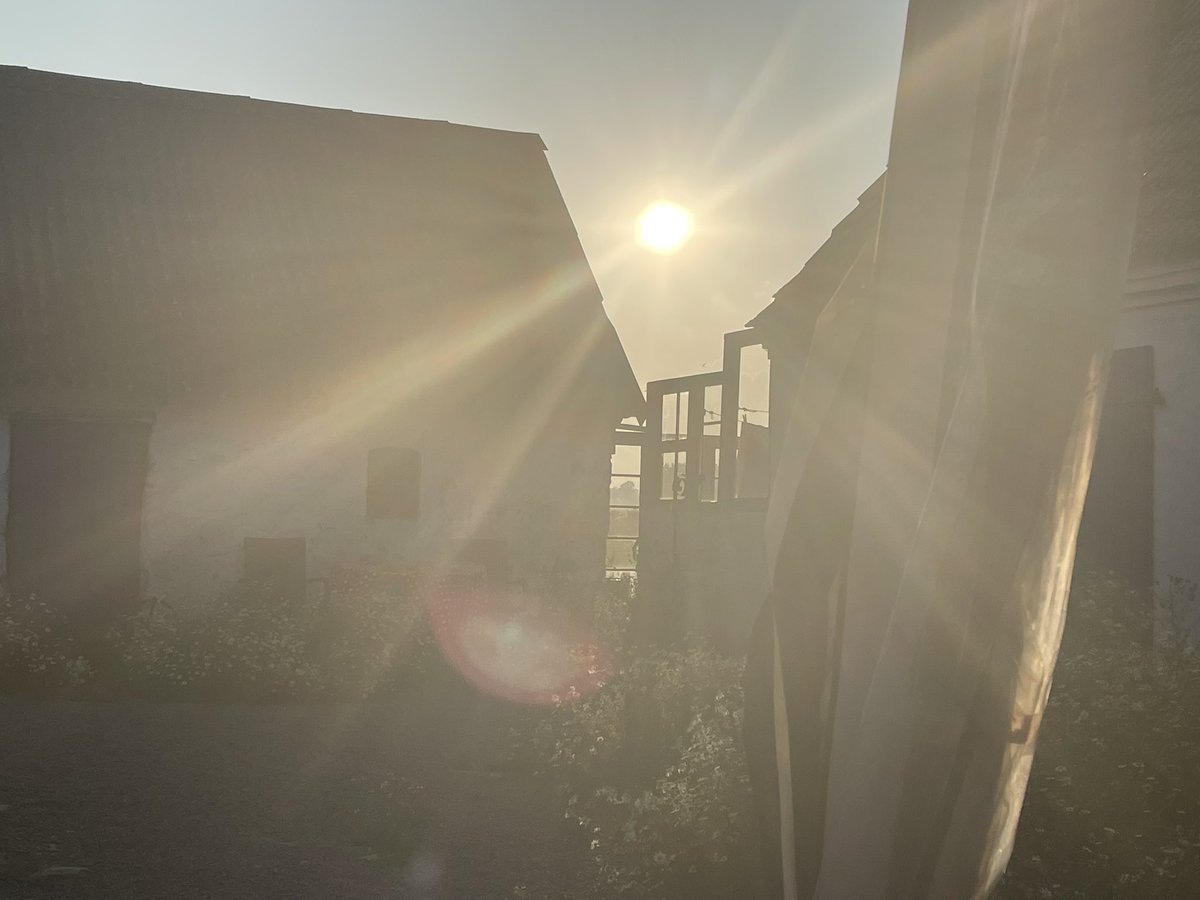 AnnieSBornholm's tweet image. „Der Tag außerhalb der Zeit“ - so kam er mir heute auch vor🌀 Viel Ruhe, kein Interesse am Wirrwarr der Welt🌀Ich wünsche euch einen entspannten Abend, ihr Lieben leuchtenden Lichter💫
Danke @manuelaforster für die schönen erklärenden Worte 🌀