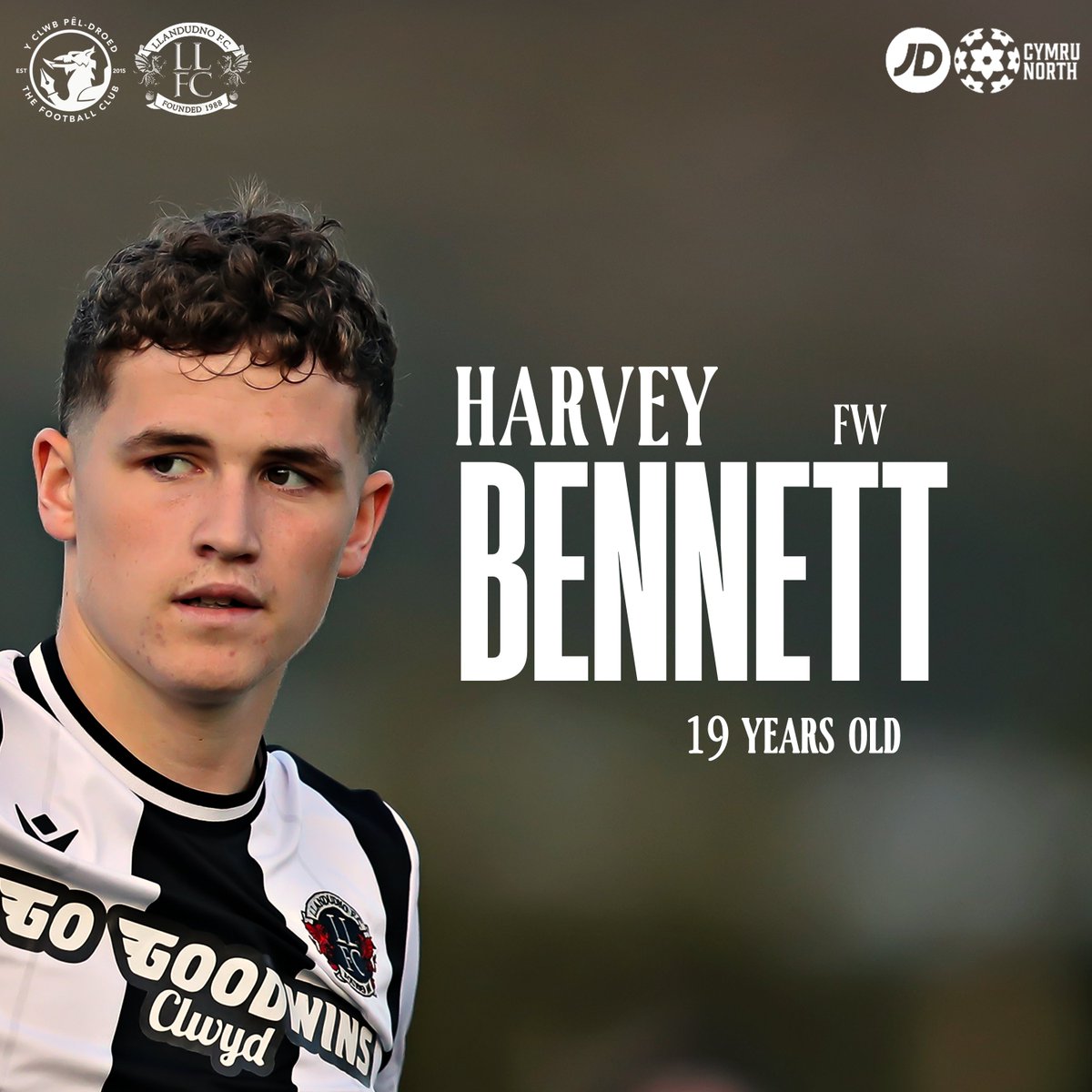 YClwbPelDroed's tweet image. North Wales has an array of bright young football talent⚡️
Take a look at four of our eight Ones To Watch in the #JDCymruNorth this season 👀
Fabrizio Murtas (@HolywellTownFC)
Harvey Bennett (@LlandudnoFC)
Iwan Roberts (@GresfordFC)
Tomas Jones ( @NewtownAFC)