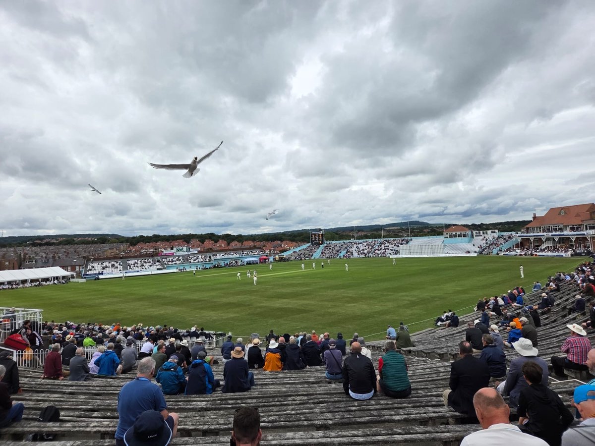 jamesrolles's tweet image. Had a wonderful week in Scarborough with @YorkshireCCC and @surreycricket
Sad to be on the train home to London