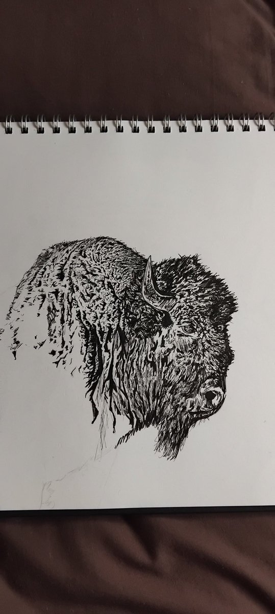 Alexrites's tweet image. This is giving me the hump 👀