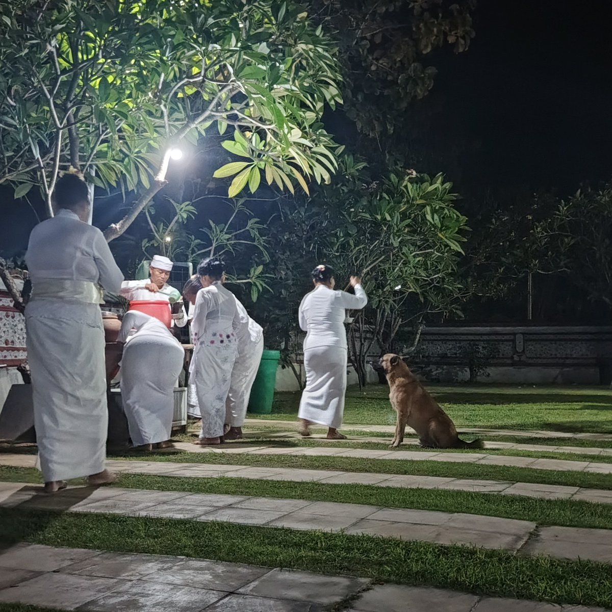 noirdevv's tweet photo. satu hal yg menjadikan Hindu istimewa: tidak melarang hewan berada di tempat ibadah

semua makhluk sama rata https://t.co/qmw86GSSOr