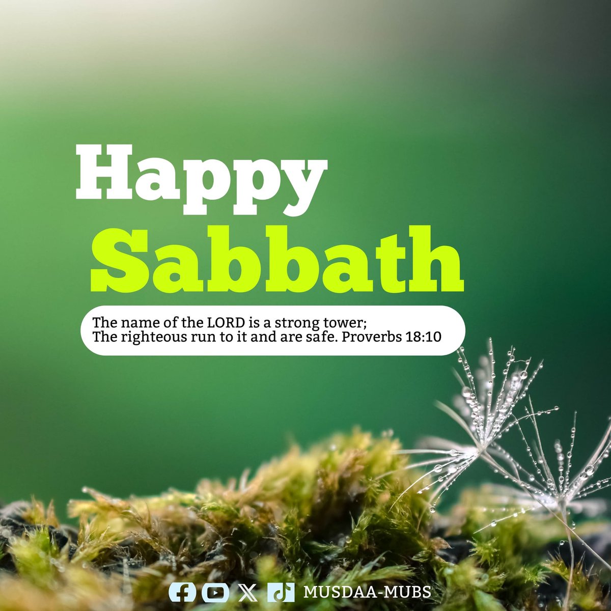 Musdaa_Mubs's tweet image. Another moment to spend time with our Creator🥰
#happysabbath #JesusIsComingSoon #mubs #SaturdayMotivation