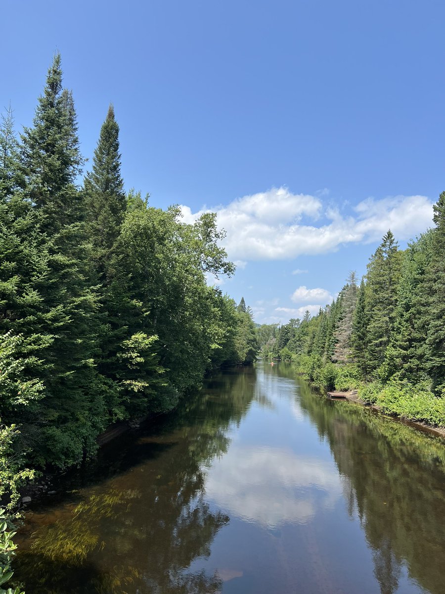 yolandevillemai's tweet image. Les eaux calmes de la rivière du Nord le 25 juillet