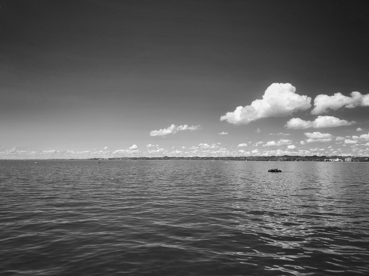 Drabbles153's tweet image. #NFTkaltenstein #kaltenstein #Bodensee #NatureLovers #NaturePhotography #landscapephotography #monochrome