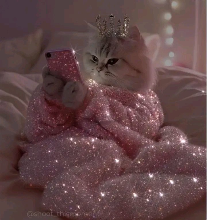 ChampneyLisa's tweet image. #InMyNextLife 
I&apos;ll have even more bling! 🤩🤩🤩