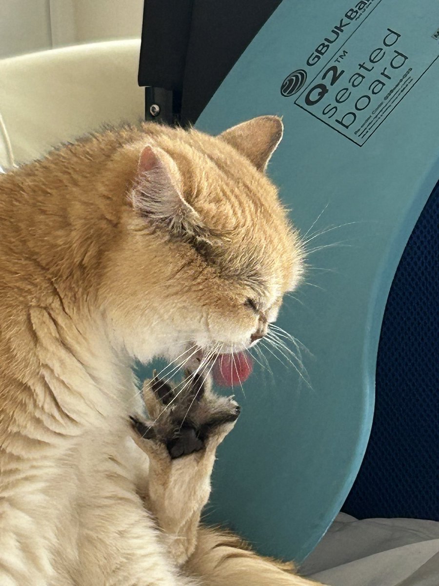 mimybug's tweet image. it’s chew your toes friday