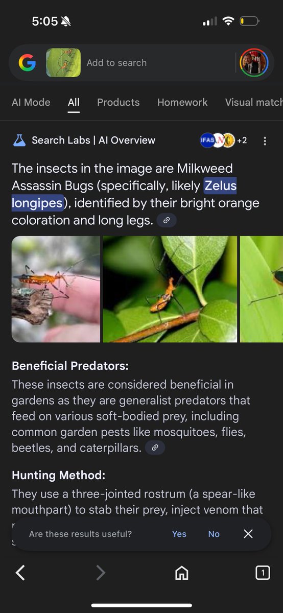 justjb's tweet image. My afternoon routine consists of getting home from work around 5, watering the plants off a few rips of the penne a la vodka, and googling shit I see in my back yard
All while my coins go up
Life is good