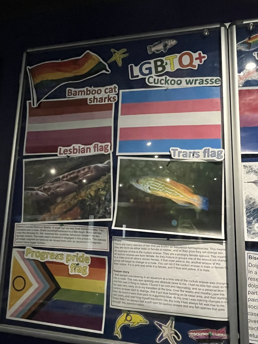 LoamLuvr's tweet image. They got woke fish at the aquarium