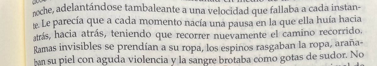 myriromance's tweet image. “…a cada momento nacía una pausa en la que ella huía hacia atrás…teniendo que recorrer nuevamente el camino recorrido.”
- Clarice Lispector