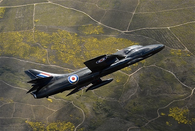 Ian Black tweet media