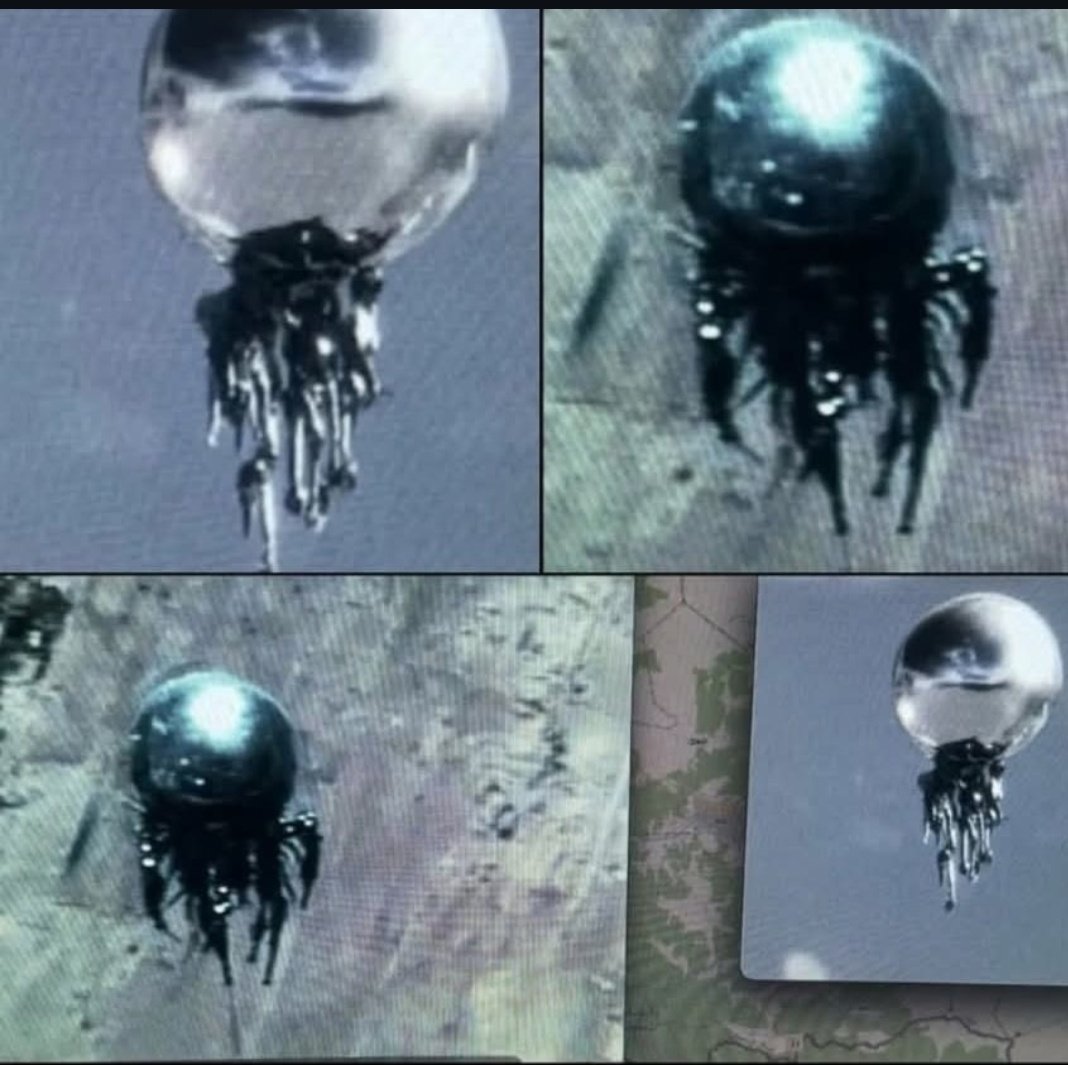 Futr-One tweet media