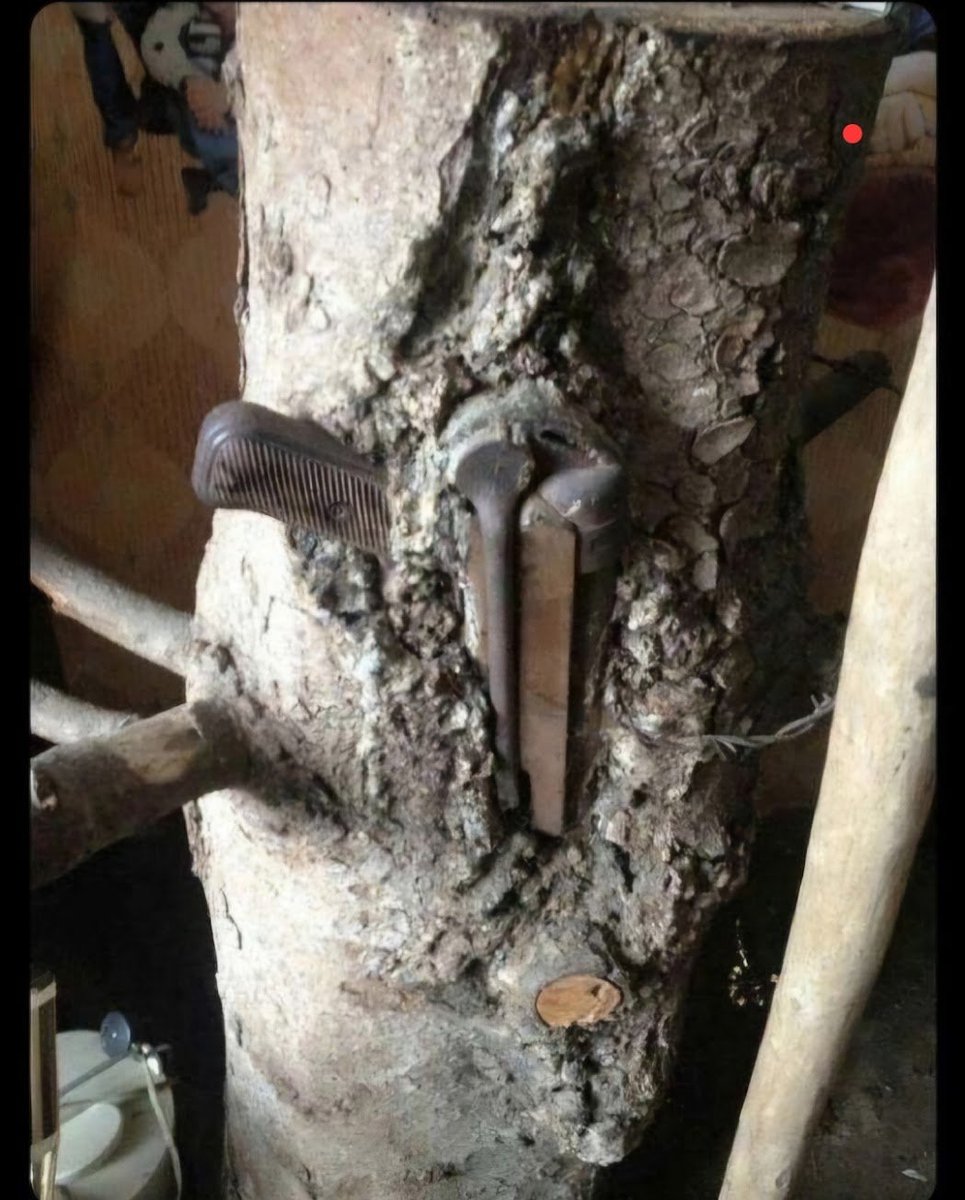 pplsartofwar's tweet image. Night. He who pulls the Kalashnikov from the tree becomes King of the Yugoslavs.