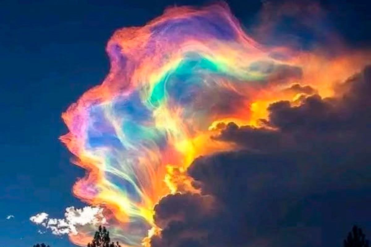 KindnessGarden's tweet image. Align and Shine
We are realigning, shifting, bringing love and light into every aspect of who we are. Our mind, body and soul are being synced, rebooted and activated to get to the next level, where we can shift into higher timelines that will bring new opportunities for us,…