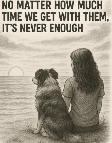 𝕏 Dogs (@_xdogs) on Twitter photo 