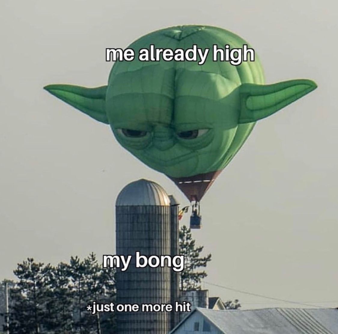 WeedPorns's tweet image. 