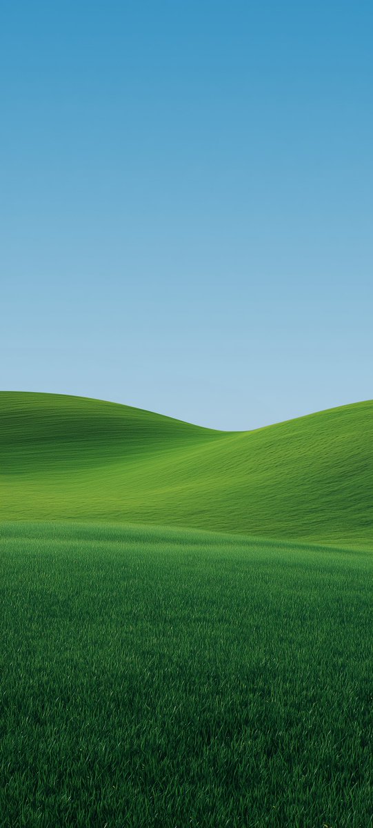 Paperoidd's tweet image. Meadow 🌱