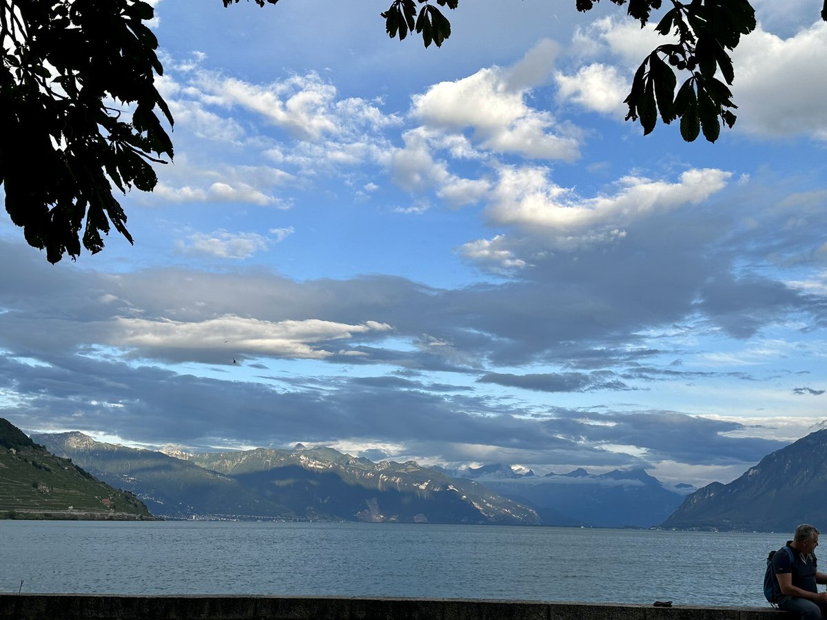 DirectDemToday's tweet image. My evening location