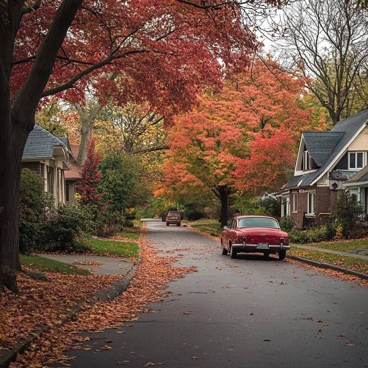 I love autumn i just love it
