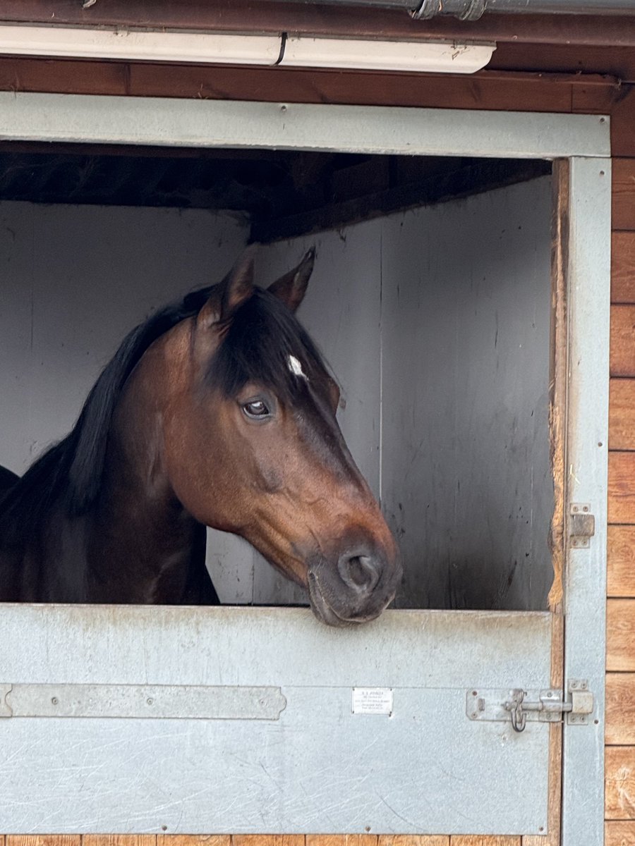 Ken Feast DJ/MC (DJ Kenbach) #AJ47 tweet media