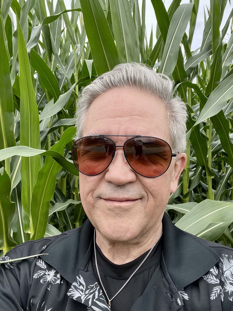 MikeMurdy's tweet image. Stopped by Mom’s house to grab her mail and snapped these pics of the neighbor’s corn 🌽 

Looking like a good crop 👍

Do you, or your friends farm?