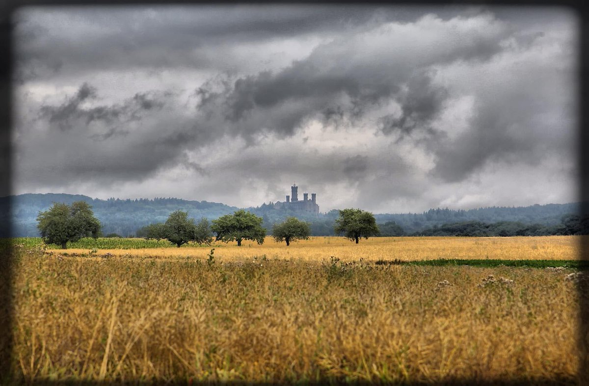 ChrissyvWellean's tweet image. โฆ in the country โฆ