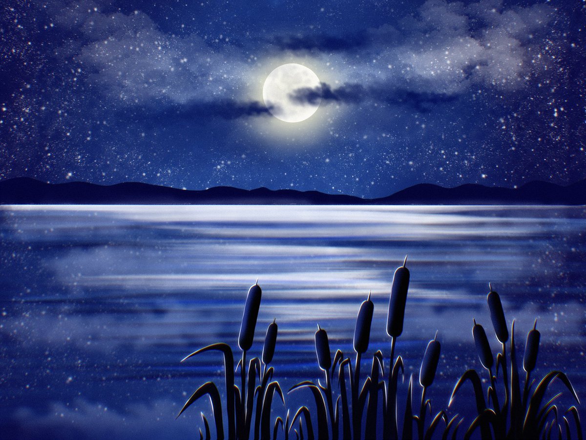 Stasya_NFT's tweet image. All business is done π
Now it's time for bed π
GN fam π
Mood π
7/8
8 XTZ
objkt.com/tokens/KT1ACSrβ¦