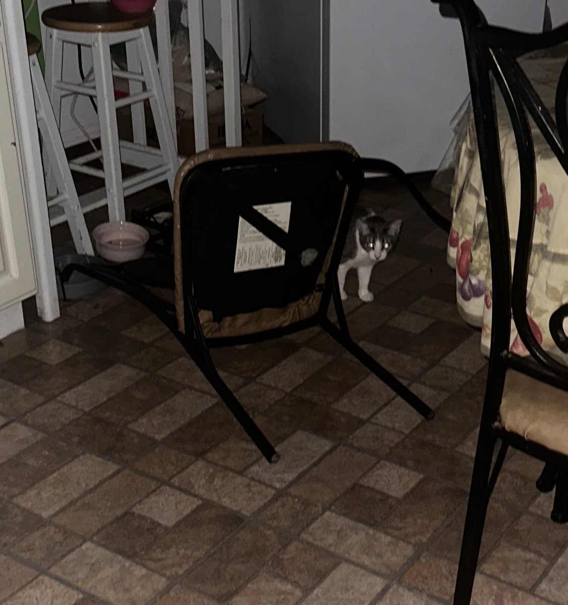cocodotts's tweet image. Woke up at 2am to a loud bang………. I have no idea how she did that