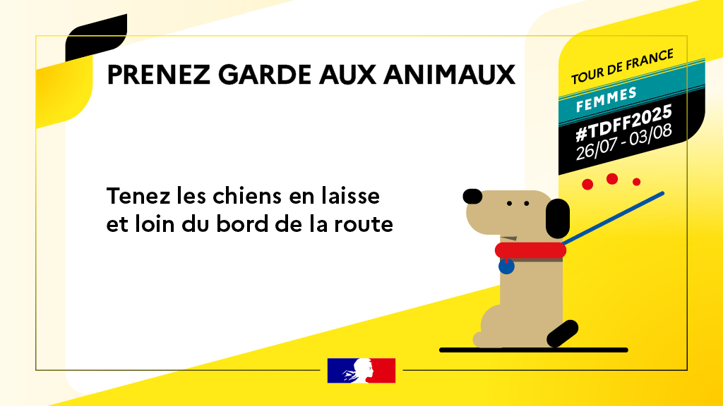 Prefet49's tweet image. ⚠️🚴 #TDFF2025 | Conseils avant le passage du #tourdefrancefemmes en Maine-et-Loire
✅Restez sur les côtés,loin des zones à risque
✅Ne courez pas près des coureuses
✅Enfants surveillés, animaux en laisse
✅Attention aux véhicules après la caravane
✅Ne jetez rien sur la route