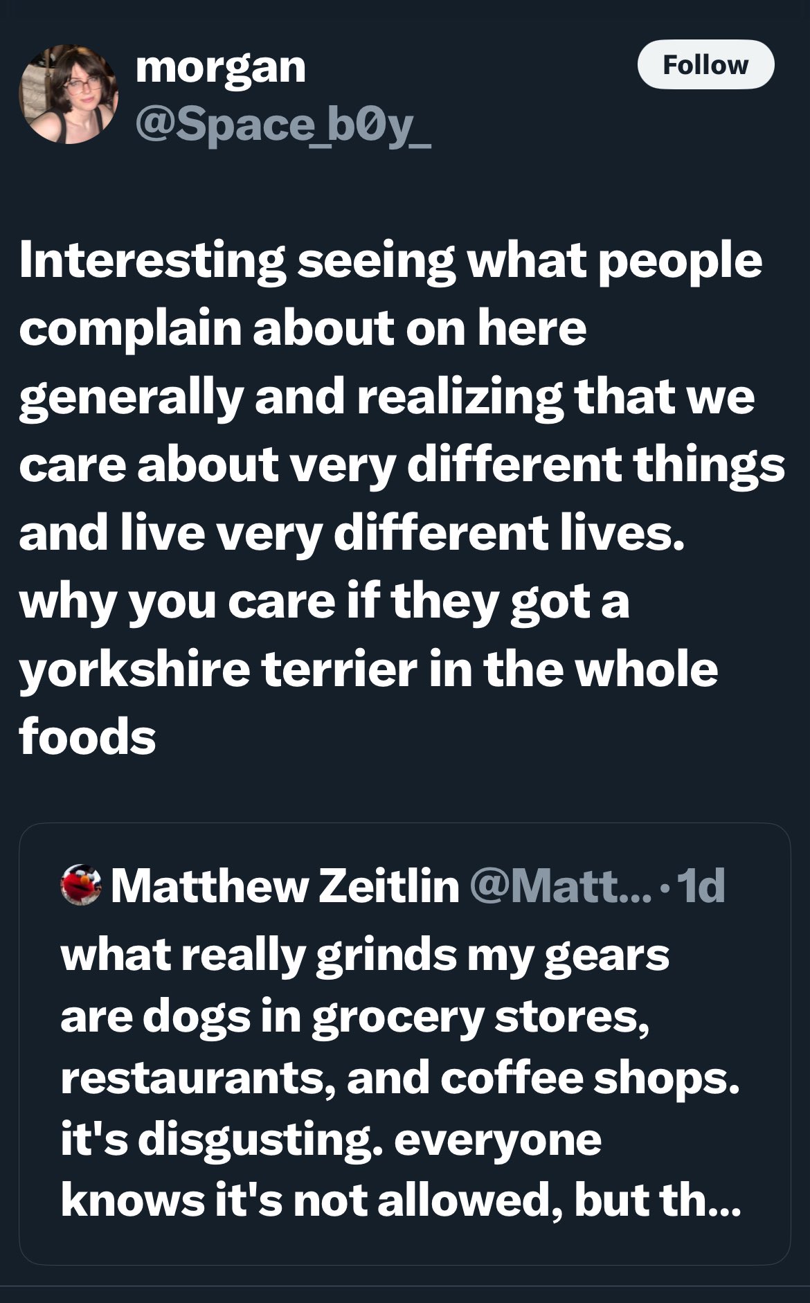 Can You Have a Dog in a Rental Car? Essential Rules & Tips