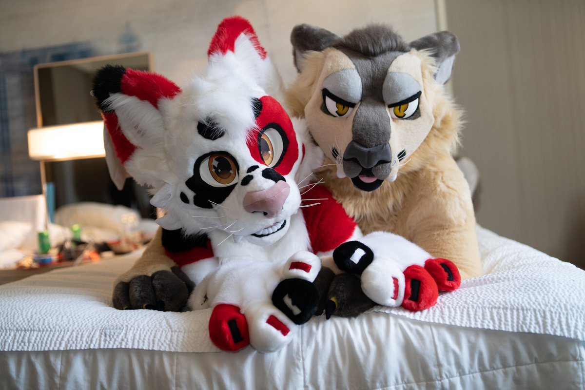 SeireinoSensh's tweet image. Who can't say no to these two cuties, come and join us for some fun.
Who will i see at Megaplex ? Should be able to bring a lot more things and suits if anyone wants to meet or suit swap. Love to try a SpiritPanda, Beauty of the bass, PhoenixNest, Bncreation, kigurumi kagetsu…