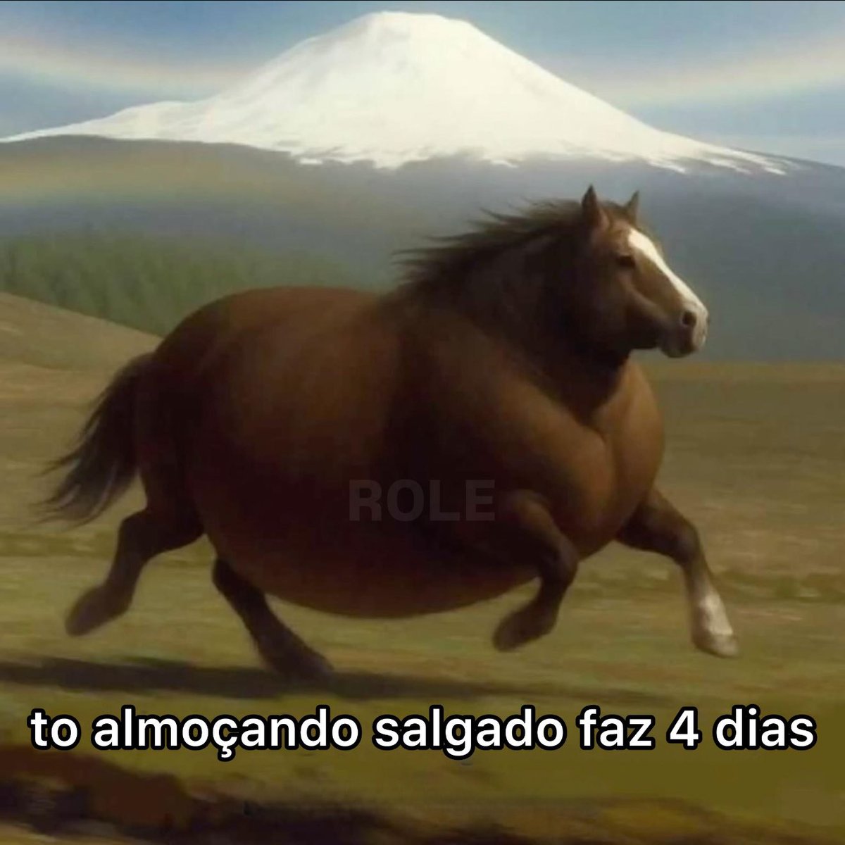 Rolê Aleatório (@rolealeatorio) on Twitter photo 