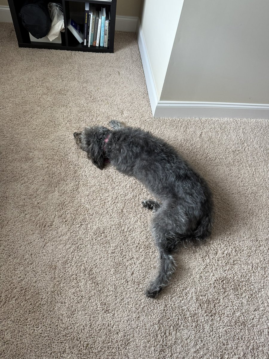 10xLean's tweet image. Caught the intern sleeping on the job again