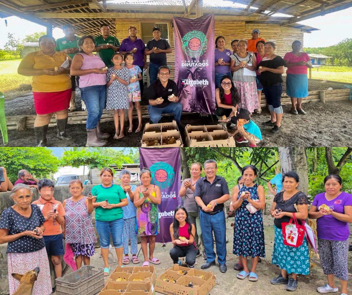 Perfil_Veracruz's tweet image. #Veracruz 📌 Diputada Elizabeth Cervantes entrega apoyos productivos en comunidades de Álamo #Temapache

perfilveracruz.com/congreso/diput…