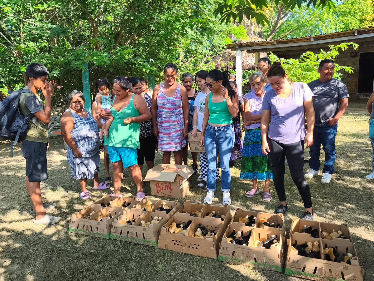 Perfil_Veracruz's tweet image. #Veracruz 📌 Diputada Elizabeth Cervantes entrega apoyos productivos en comunidades de Álamo #Temapache

perfilveracruz.com/congreso/diput…