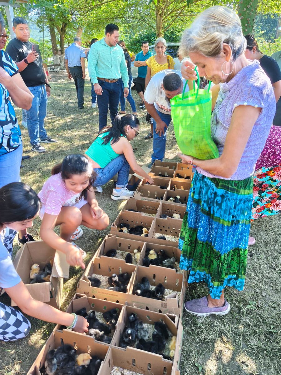 Perfil_Veracruz's tweet image. #Veracruz 📌 Diputada Elizabeth Cervantes entrega apoyos productivos en comunidades de Álamo #Temapache

perfilveracruz.com/congreso/diput…