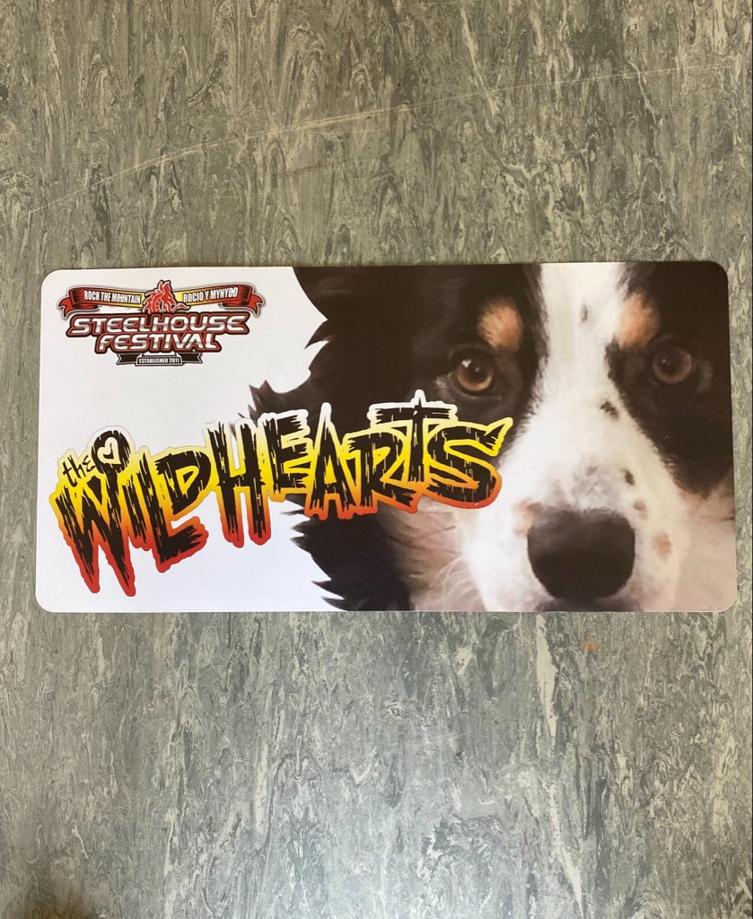 GingerWildheart's tweet image. Magical times at @steelhousefest
Maggie’s absence is felt
Final day of an insane month of activity
Gonna enjoy the break and being reunited with my furry lady 🐶❤️