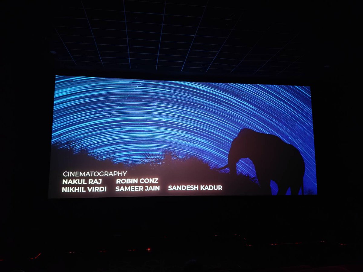 Manjari Jain tweet media