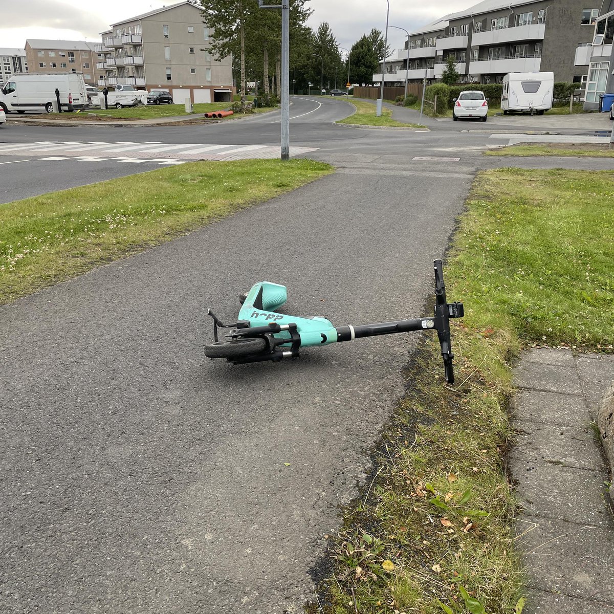 Verst lagða rafskútan (@verstlagda) on Twitter photo 