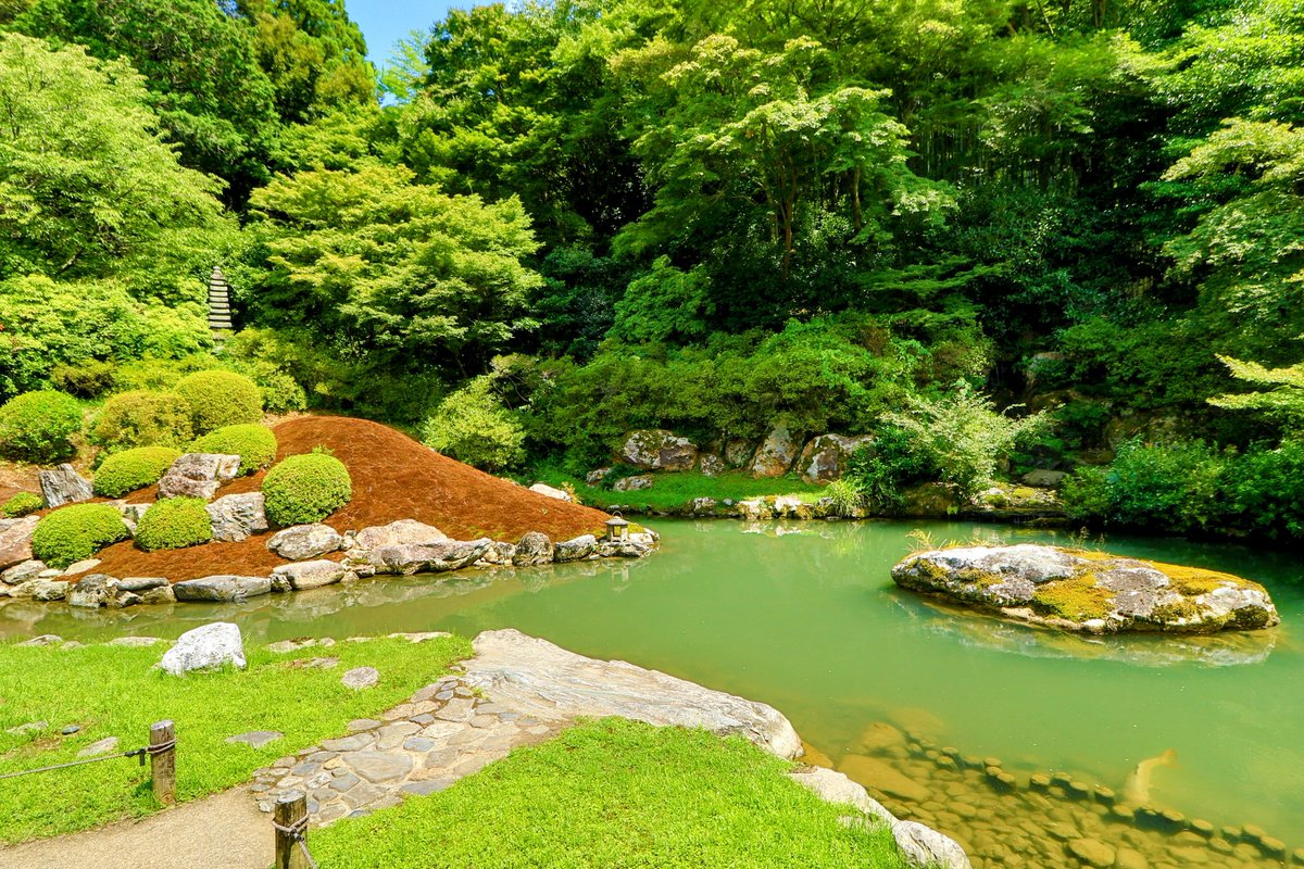 まあちゃん Meissen adidas ZX 10000 FZ4888 Release Date - SBD