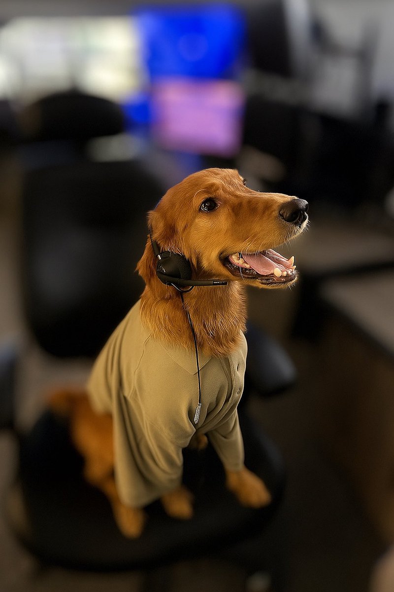 New Kent Sheriff tweet media